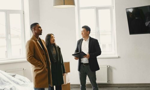 Real Estate Consultant St. Petersburg FL